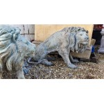 Bronze Lions Pair